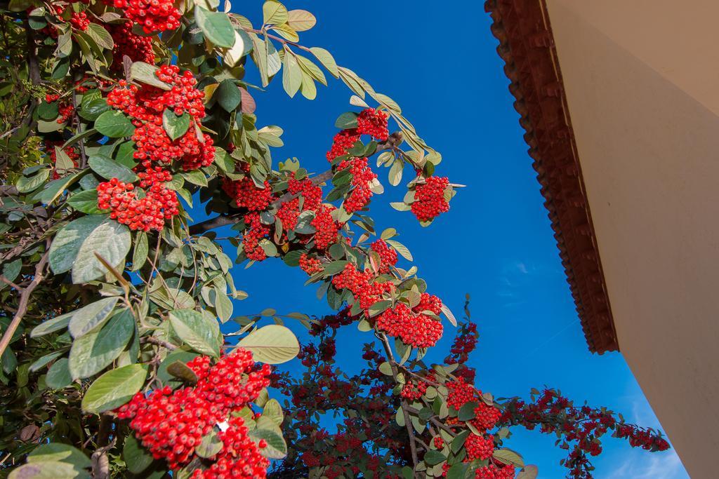 Tu Casa En Barcelona Villa Sant Cugat del Vallès Szoba fotó